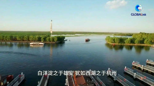 大美白洋淀 環(huán)境檢測服務助力生態(tài)保護