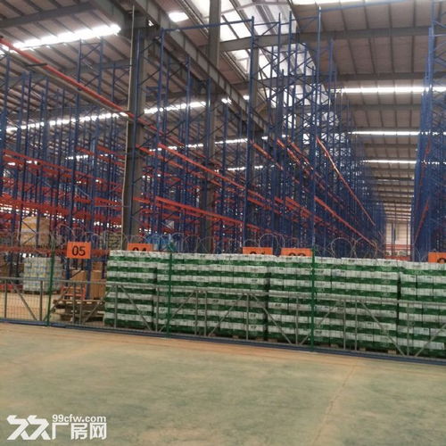 高標食品倉庫招租 | 14米層高鋼結構，萬平空間配設備租賃服務